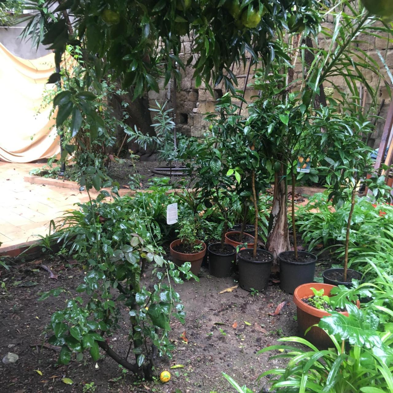 Il Giardino Di Daphne Bed & Breakfast Naples Exterior photo